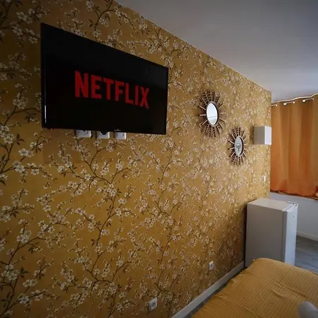 Ng Suitehome - Lille I L Mairie I Grand Place - Yellow Flowers - Netflix - Wifi רובייש