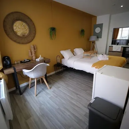 Ng Suitehome - Lille I L Mairie I Grand Place - Yellow Flowers - Netflix - Wifi דירה