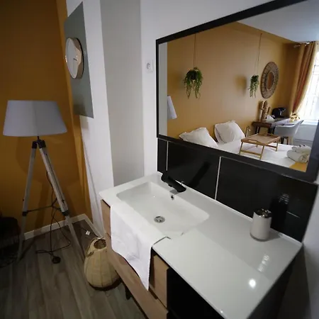 Ng Suitehome - Lille I L Mairie I Grand Place - Yellow Flowers - Netflix - Wifi דירה *