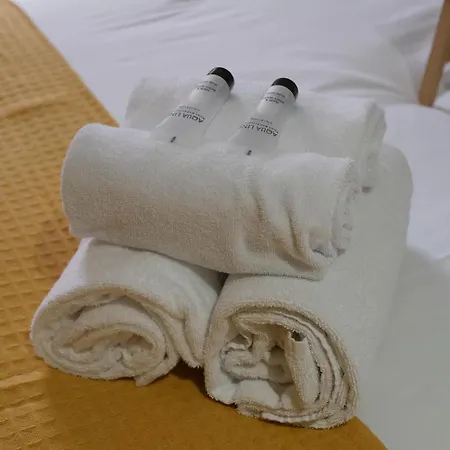 Ng Suitehome - Lille I L Mairie I Grand Place - Yellow Flowers - Netflix - Wifi *